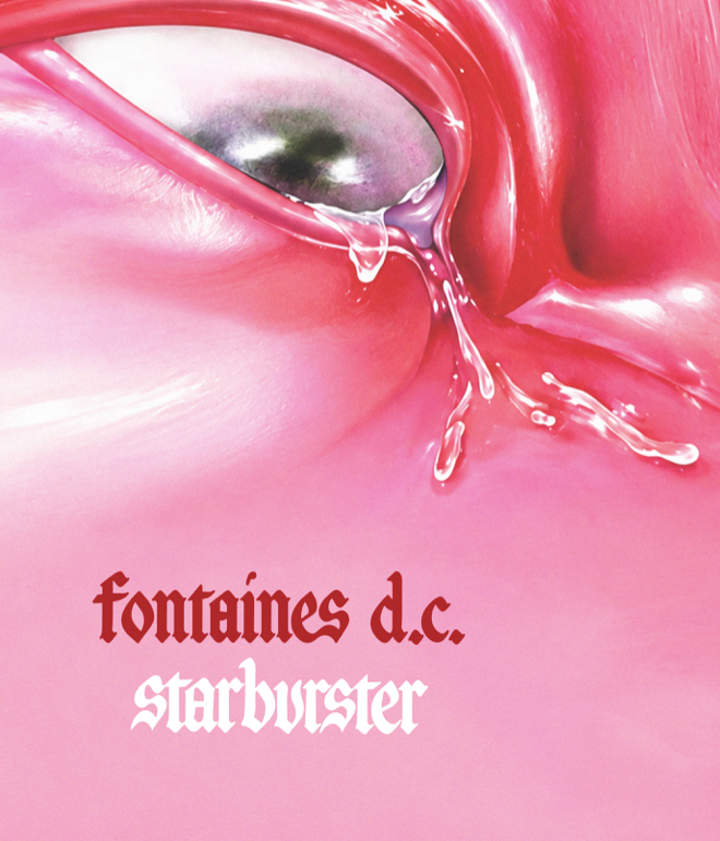 FONTAINES DC - STARBURSTER - Symbios Design Rare Glossy Poster Print