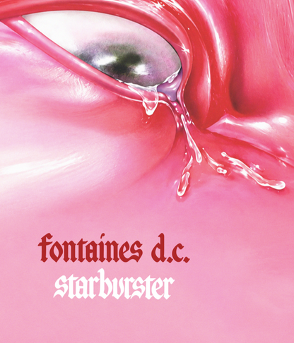 FONTAINES DC - STARBURSTER - Symbios Design Rare Glossy Poster Print