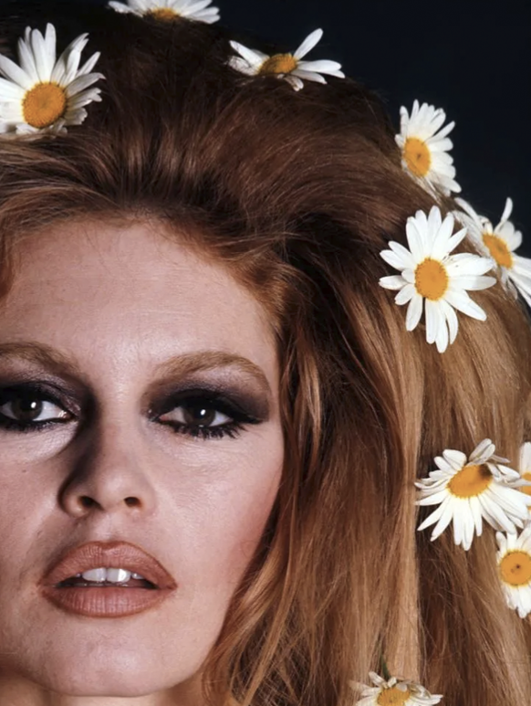BRIGITTE BARDOT  - Symbios Design Rare Glossy Poster Print
