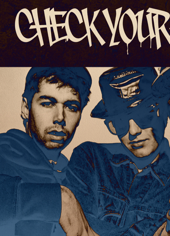BEASTIE BOYS - CHECK YOUR HEAD - Symbios Design Rare Glossy Poster Print