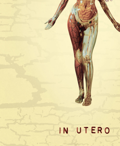 NIRVANA - IN UTERO - Symbios Design Rare Glossy Poster Print