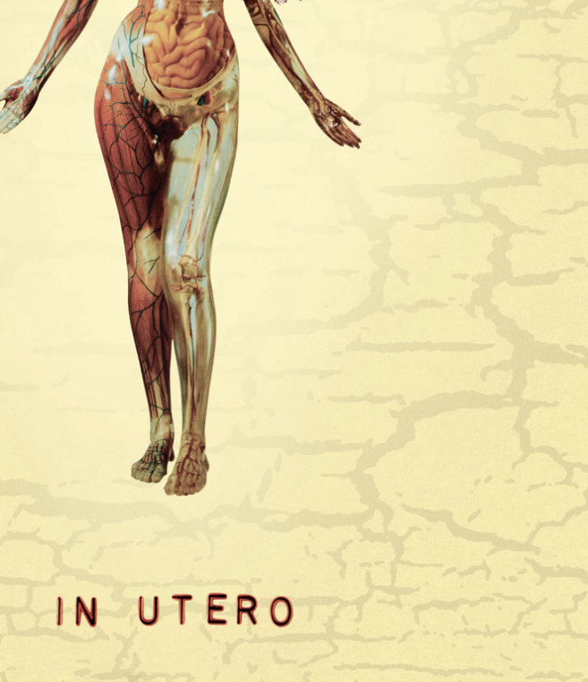 NIRVANA - IN UTERO - Symbios Design Rare Glossy Poster Print