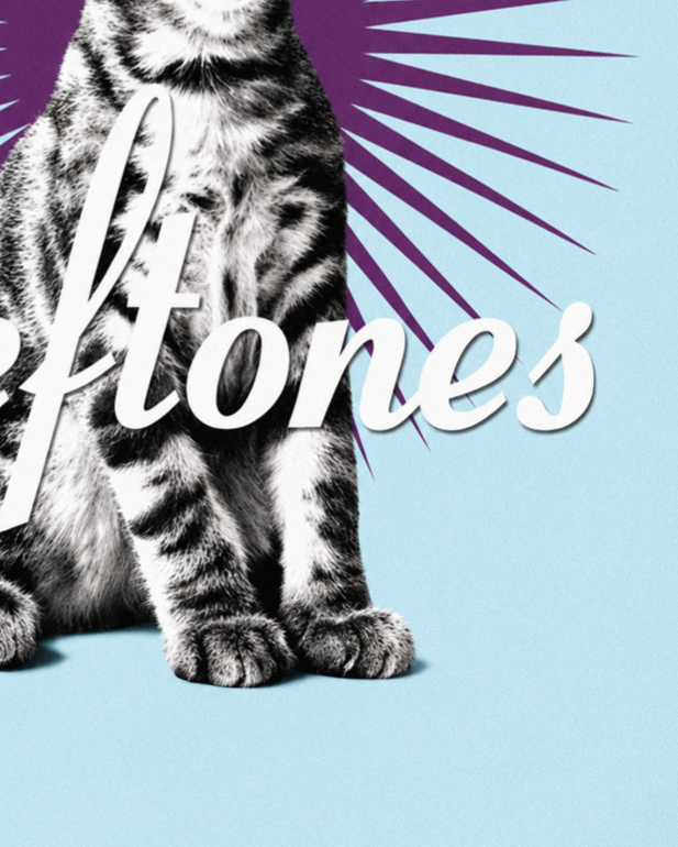 DEFTONES - BORED - Symbios Design Rare Glossy Poster Print