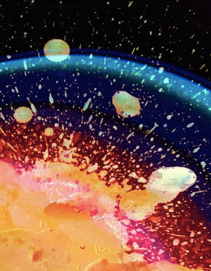 RADIOHEAD - IN RAINBOWS - Symbios Design Rare Glossy Poster Print