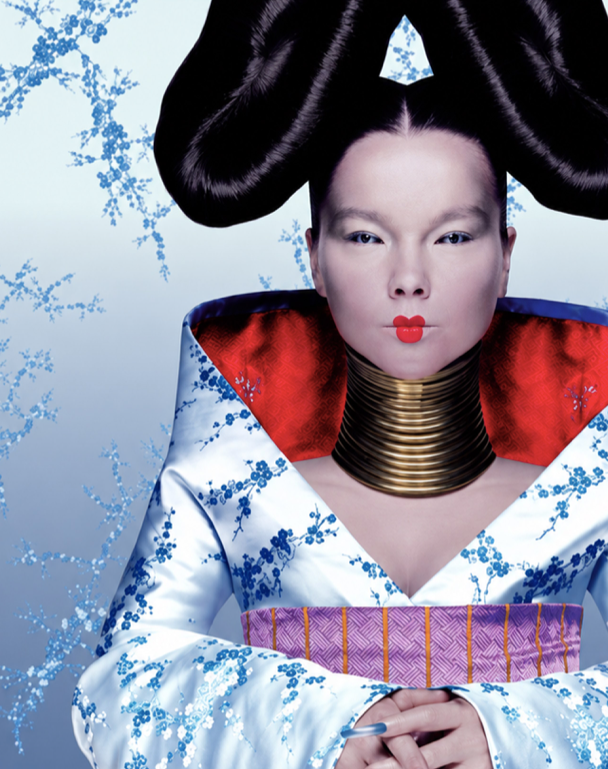 BJORK - HOMOGENIC - Symbios Design Rare Glossy Poster Print