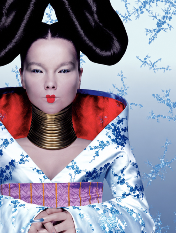 BJORK - HOMOGENIC - Symbios Design Rare Glossy Poster Print