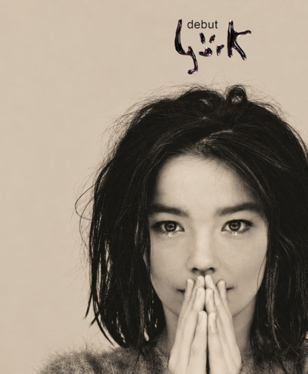 BJORK - DEBUT - Symbios Design Rare Glossy Poster Print