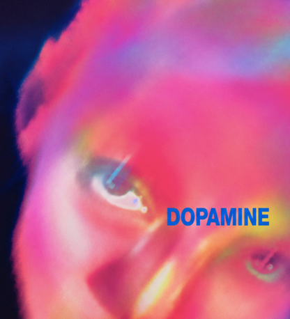 FONTAINES DC - DOPAMINE CHAMBER - Symbios Design Rare Glossy Poster Print