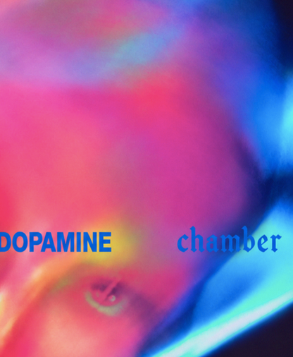 FONTAINES DC - DOPAMINE CHAMBER - Symbios Design Rare Glossy Poster Print