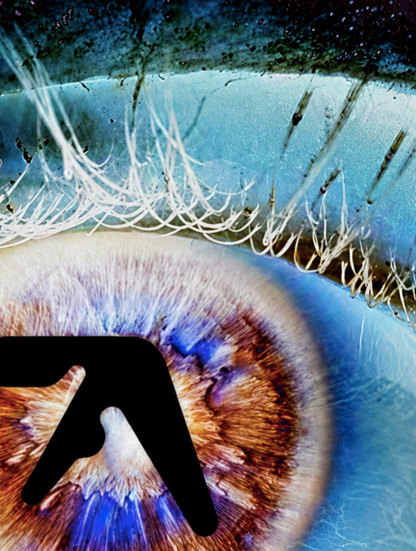 APHEX TWIN - ALL SEEING EYE - Symbios Design Rare Glossy Poster Print