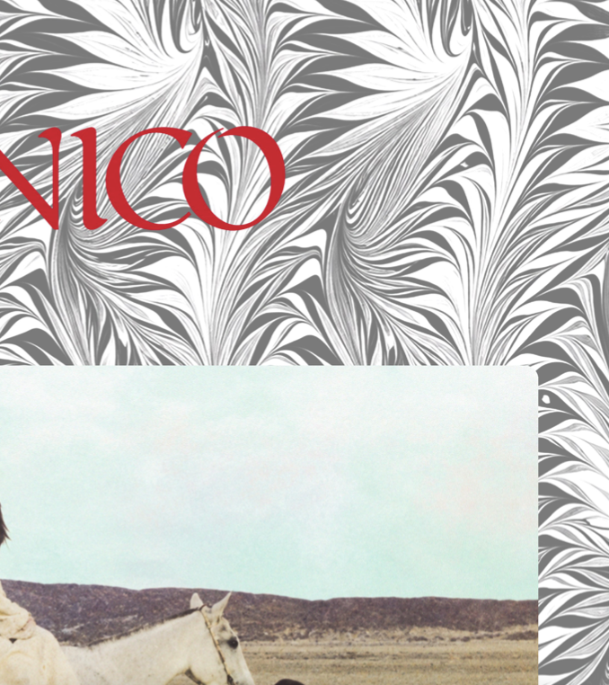 NICO - DESERTSHORT - Symbios Design Rare Glossy Poster Print