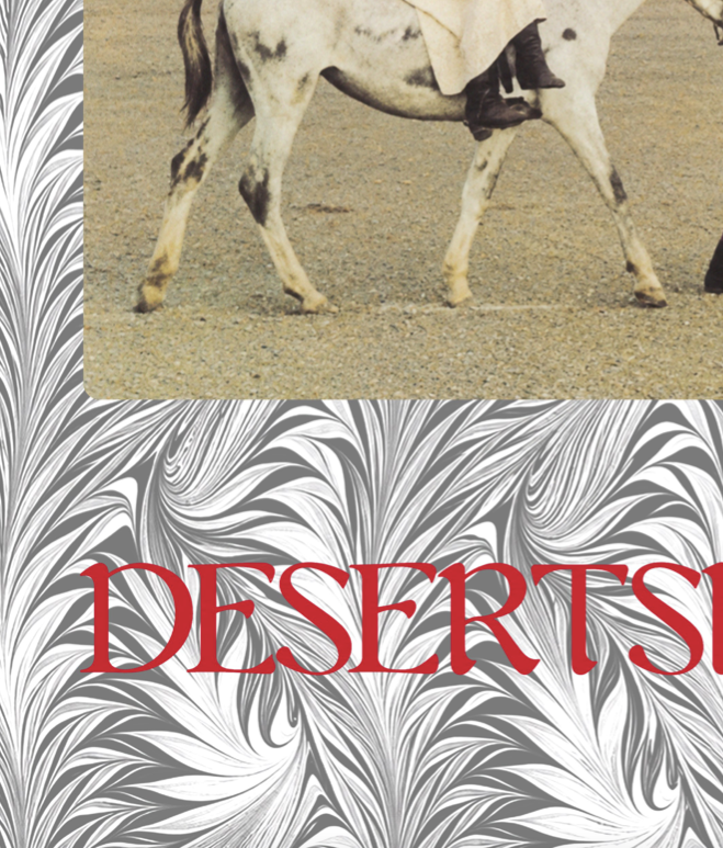 NICO - DESERTSHORT - Symbios Design Rare Glossy Poster Print