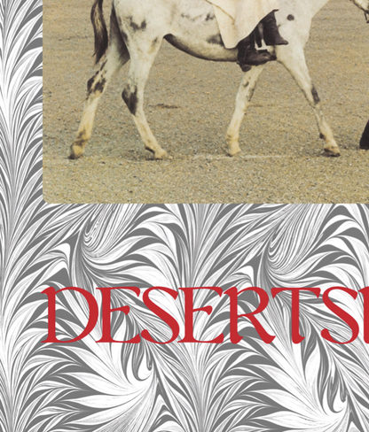 NICO - DESERTSHORT - Symbios Design Rare Glossy Poster Print