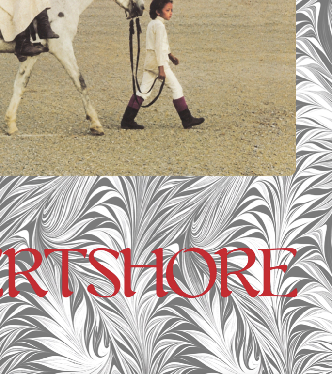 NICO - DESERTSHORT - Symbios Design Rare Glossy Poster Print