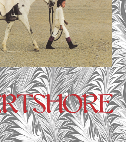 NICO - DESERTSHORT - Symbios Design Rare Glossy Poster Print