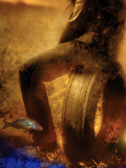 TOM WAITS - ALICE - ANIMA PORTRAIT - Symbios Design Rare Glossy Poster Print