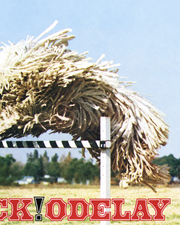 BECK - ODELAY - Symbios Design Rare Glossy Poster Print