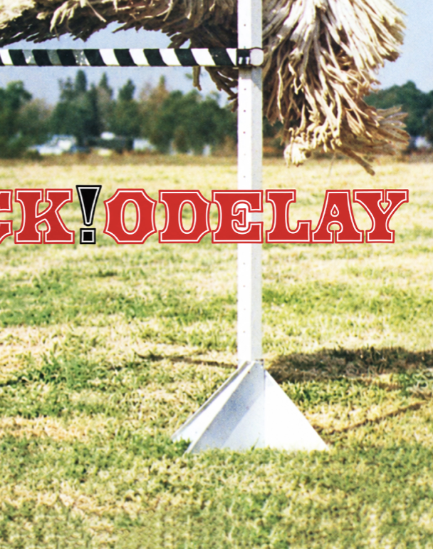 BECK - ODELAY - Symbios Design Rare Glossy Poster Print