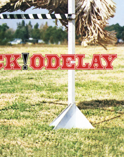 BECK - ODELAY - Symbios Design Rare Glossy Poster Print
