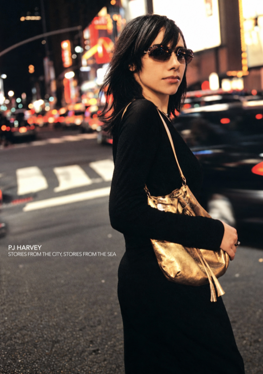 PJ HARVEY - STORIES - Symbios Design Rare Glossy Poster Print