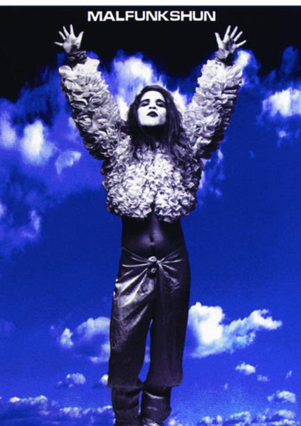 MALFUNKSHUN - ANDREW WOOD - MOTHER LOVE BONE - Symbios Design Rare Glossy Poster Print