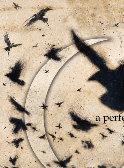 A PERFECT CIRCLE - TO WHOM IT MAY CONCERN - Symbios Design Rare Glossy Poster Print