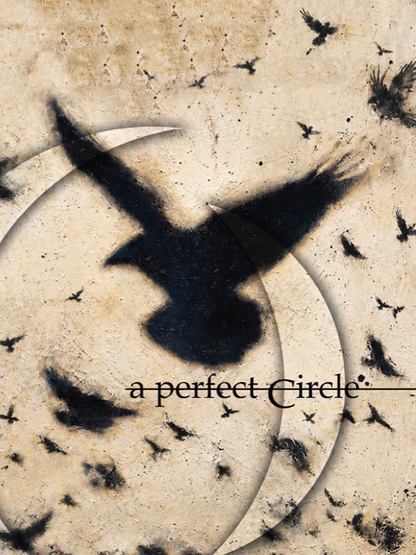 A PERFECT CIRCLE - TO WHOM IT MAY CONCERN - Symbios Design Rare Glossy Poster Print