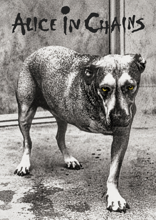 ALICE IN CHAINS - Symbios Design Rare Glossy Poster Print