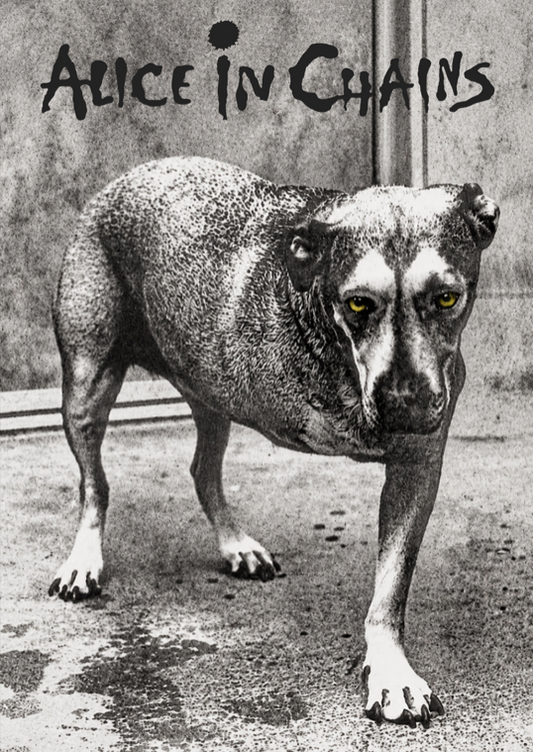 ALICE IN CHAINS - Symbios Design Rare Glossy Poster Print