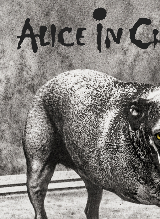 ALICE IN CHAINS - Symbios Design Rare Glossy Poster Print