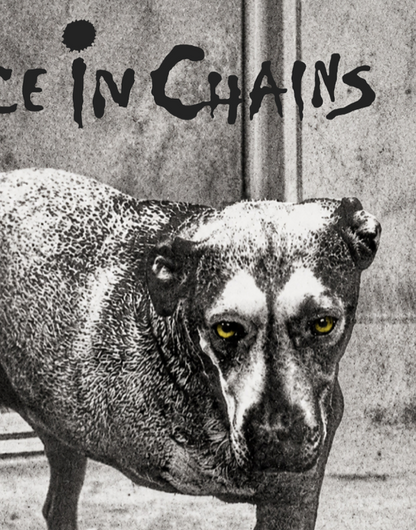 ALICE IN CHAINS - Symbios Design Rare Glossy Poster Print