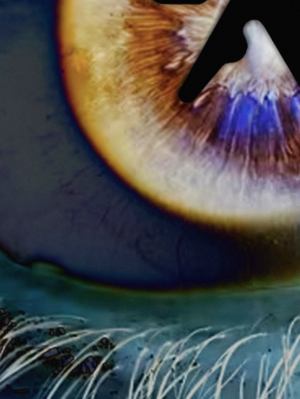 APHEX TWIN - Pupil  -  Electro Music Poster,  Music Decor, Band Memorabilia, Music Lover Gift
