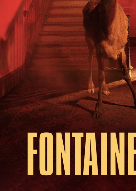 FONTAINES DC - Skinty Fia - Music Poster,  Music Decor, Band Memorabilia, Music Lover Gift