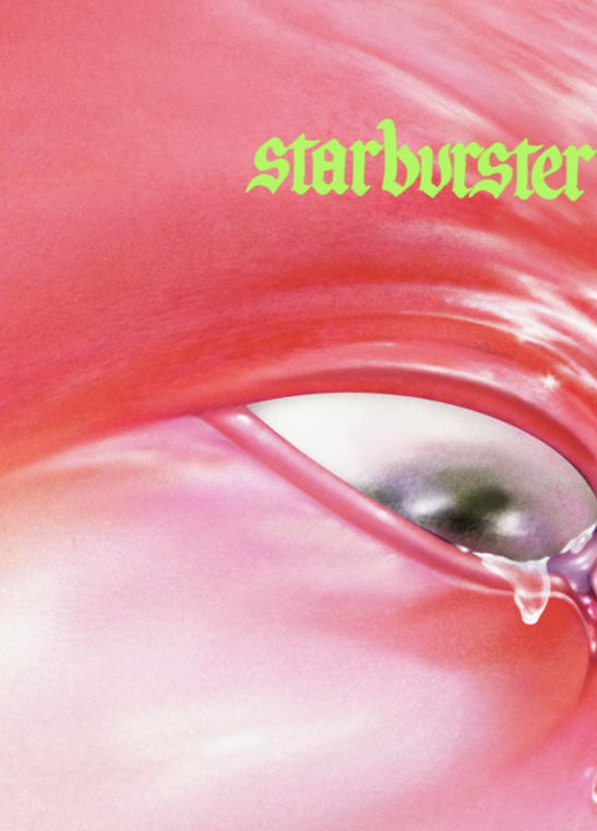 FONTAINES DC - Starburster  - Music Poster,  Music Decor, Band Memorabilia, Music Lover Gift