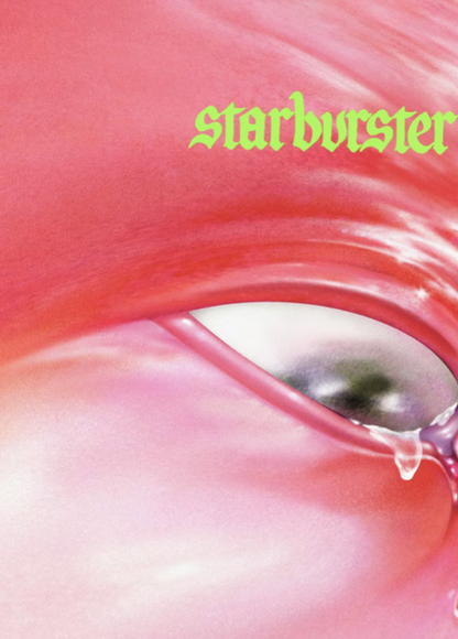 FONTAINES DC - Starburster  - Music Poster,  Music Decor, Band Memorabilia, Music Lover Gift