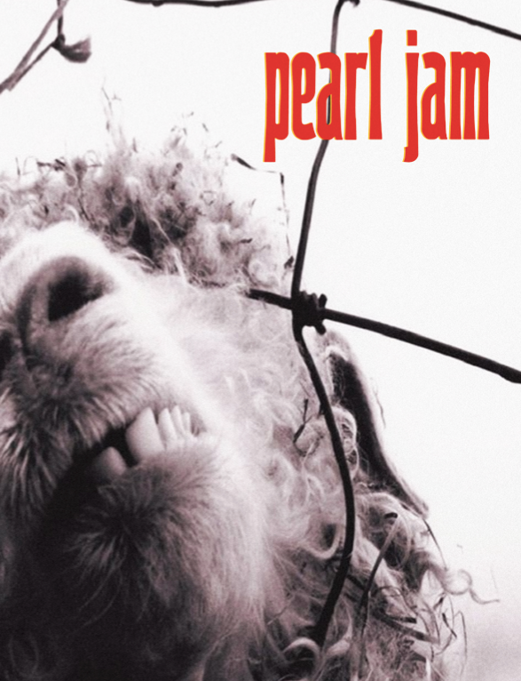 Pearl Jam - VS - Rare Music Poster,  Music Decor, Band Memorabilia, Music Lover Gift