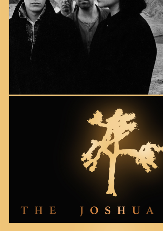 U2 The Joshua Tree - Rare Music Poster,  Music Decor, Band Memorabilia, Music Lover Gift