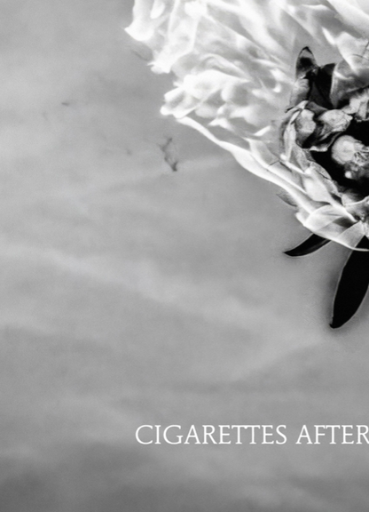 CIGARETTES AFTER SEX  - Mural Artwork - Decoration - Wall Art