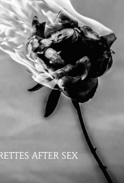 CIGARETTES AFTER SEX  - Mural Artwork - Decoration - Wall Art