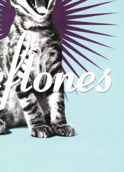 Deftones - Bored - Rare Music Poster,  Music Decor, Band Memorabilia, Music Lover Gift
