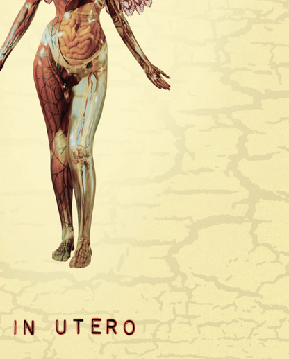 Nirvana - In Utero - Rare Music Poster,  Music Decor, Band Memorabilia, Music Lover Gift