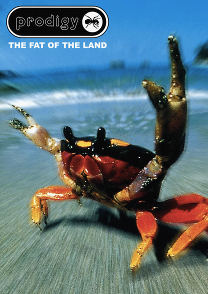 The Prodigy - Fat of the Land - Trip Hop - Rare Music Poster,  Music Decor, Band Memorabilia, Music Lover Gift