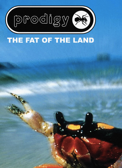 The Prodigy - Fat of the Land - Trip Hop - Rare Music Poster,  Music Decor, Band Memorabilia, Music Lover Gift