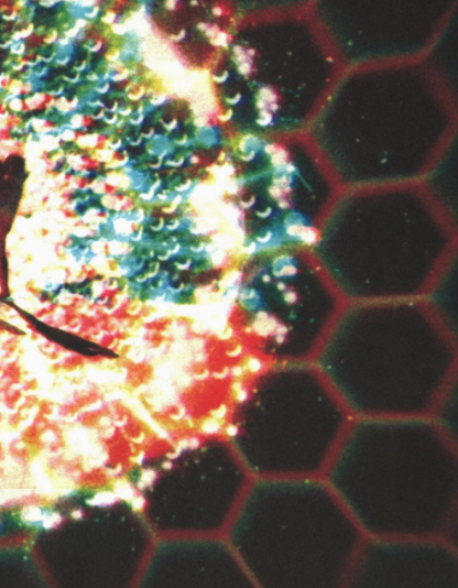 BOARDS OF CANADA - INFERNO - Symbios Design Rare Glossy Poster Print