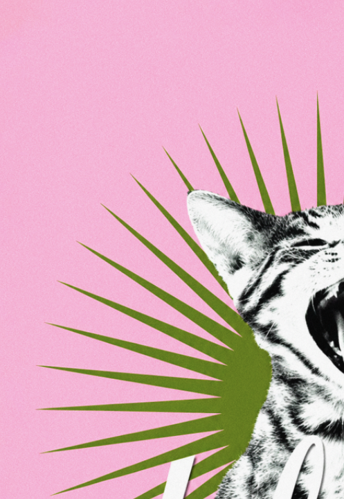 DEFTONES - BORED PINK EDITION - Symbios Design Rare Glossy Poster Print