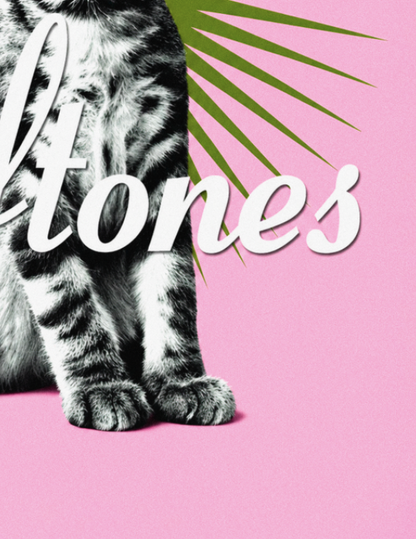 DEFTONES - BORED PINK EDITION - Symbios Design Rare Glossy Poster Print