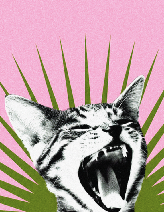 DEFTONES - BORED PINK EDITION - Symbios Design Rare Glossy Poster Print