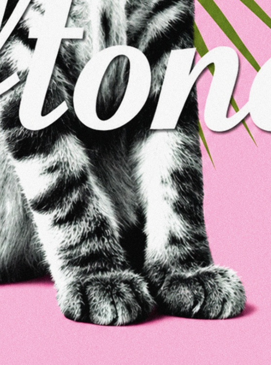 DEFTONES - BORED PINK EDITION - Symbios Design Rare Glossy Poster Print