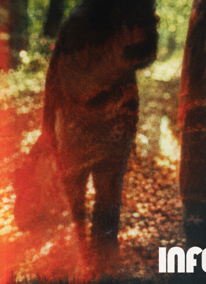 BOARDS OF CANADA - INFERNO - Symbios Design Rare Glossy Poster Print