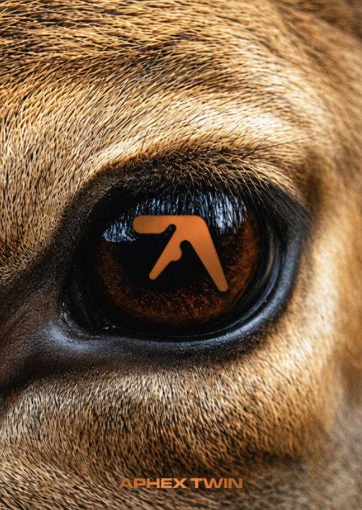 APHEX TWIN - DEER - Symbios Design Rare Glossy Poster Print